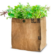 kit de culture de salade bio - mesclun